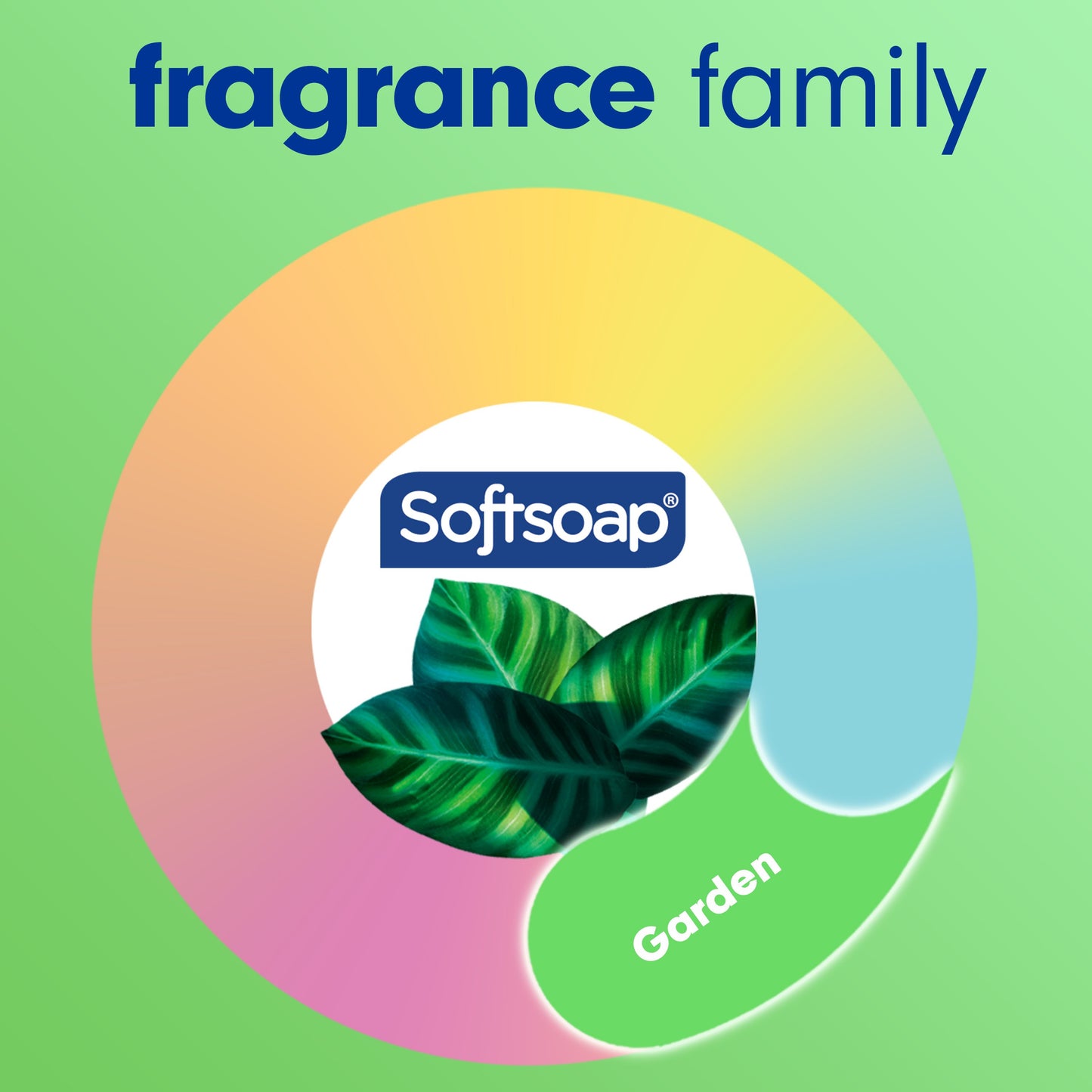 Softsoap Soothing Clean Moisturizing Hand Soap - Aloe Vera