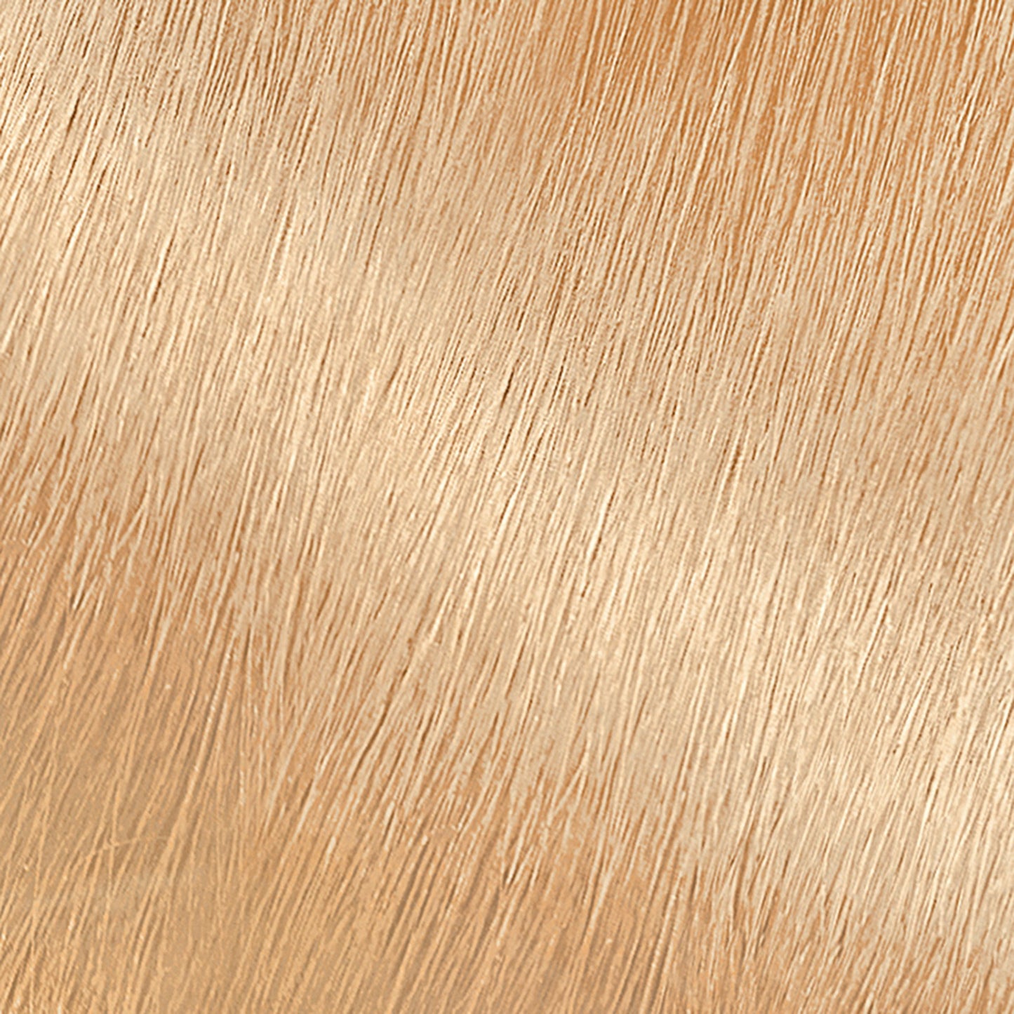 Garnier Nutrisse Nourishing Hair Color Creme - 100 Extra-Light Natural Blonde (Chamomile)