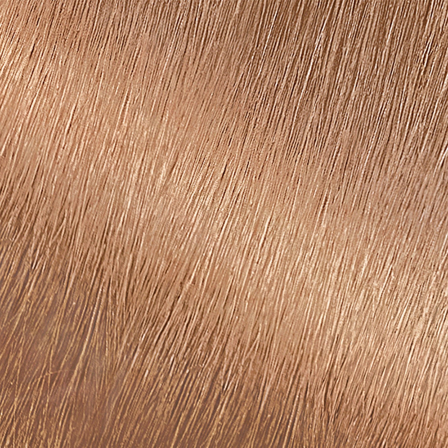 Garnier Nutrisse Nourishing Hair Color Creme - 80 Medium Natural Blonde (Butternut)