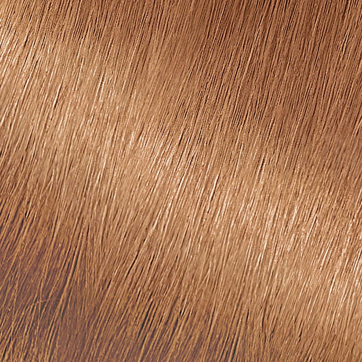Garnier Nutrisse Nourishing Hair Color Creme - 73 Dark Golden Blonde (Honey Dip)