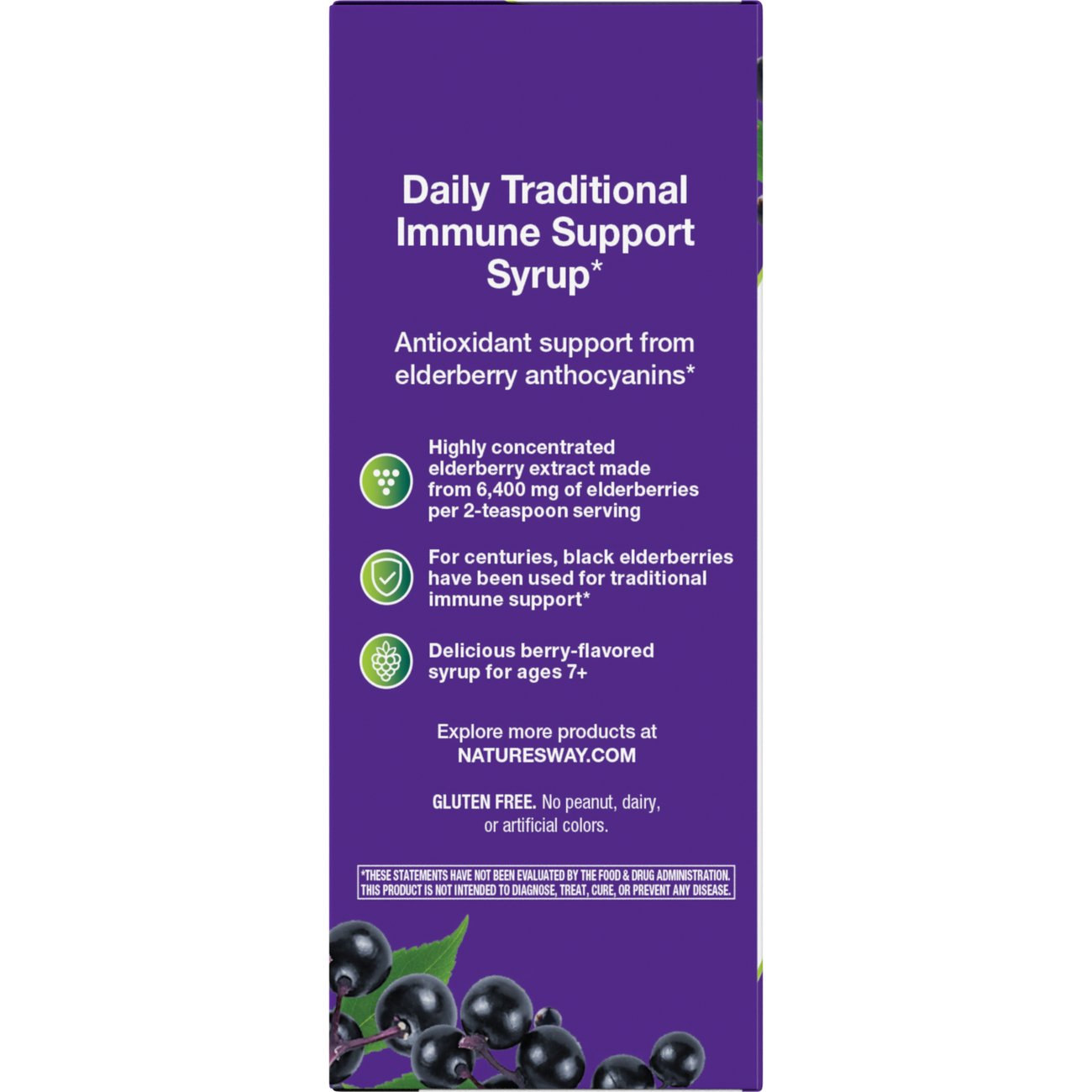 Nature's Way Sambucus Traditional Immune Syrup