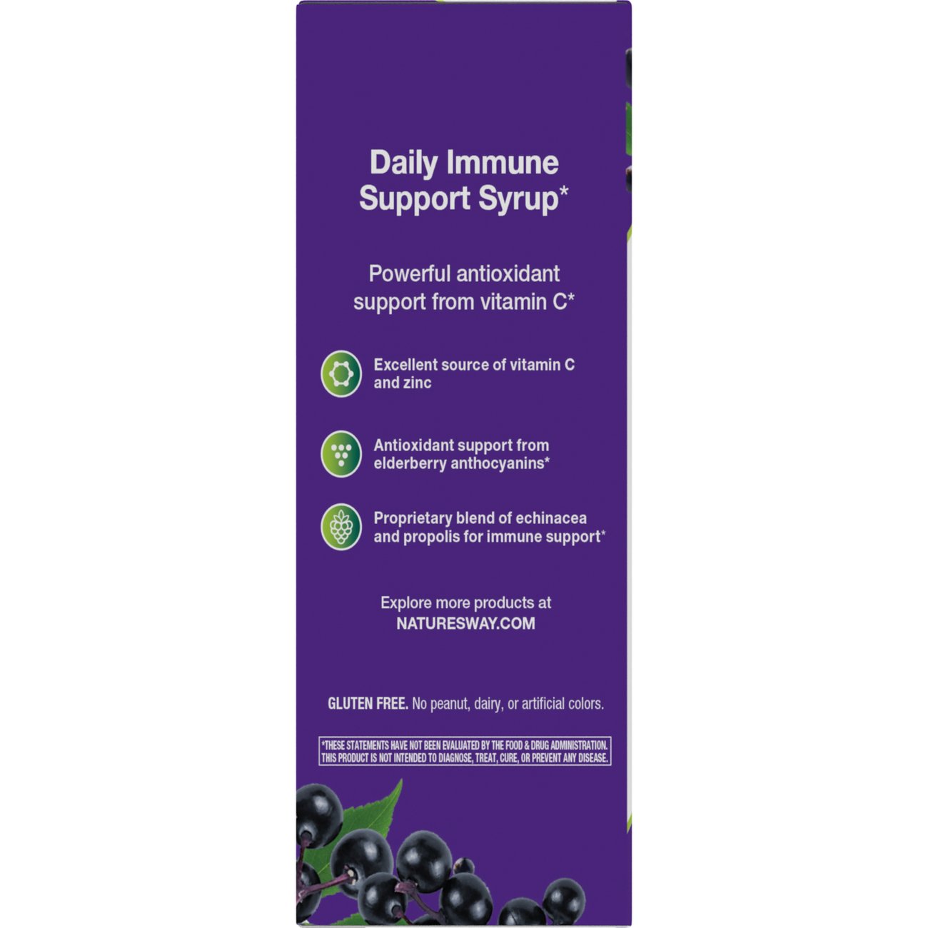 Nature's Way Sambucus Immune Syrup