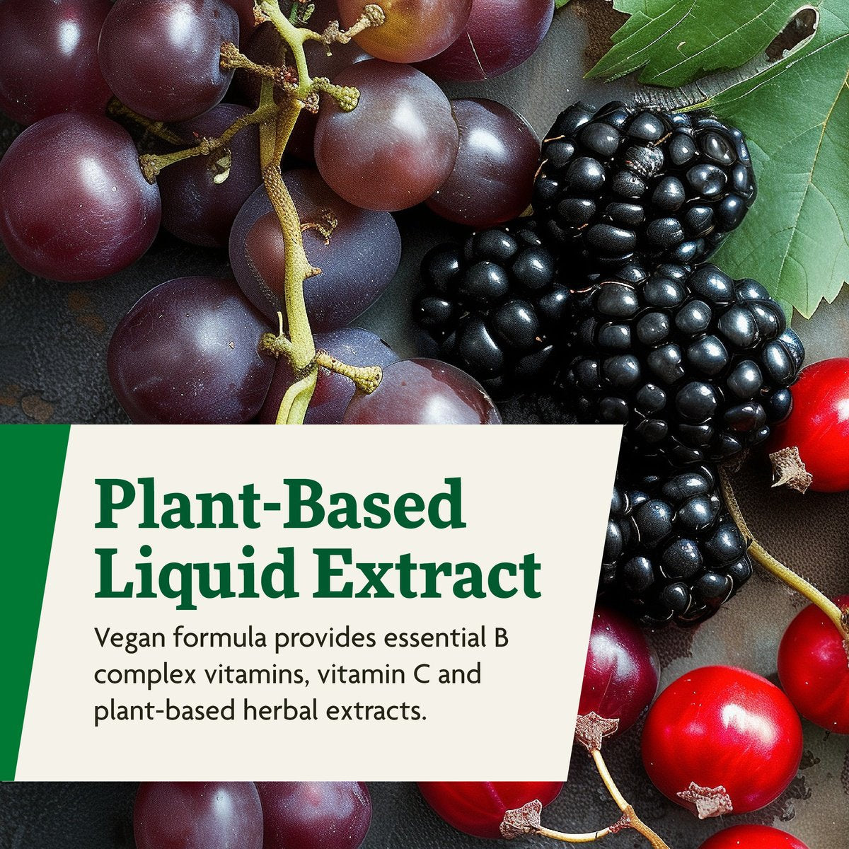 Floradix Floravital Floravital Iron & Herbs Liquid
