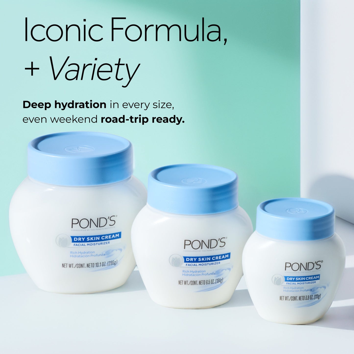 Pond's Dry Skin Moisturizing Face Cream for Deep Hydration
