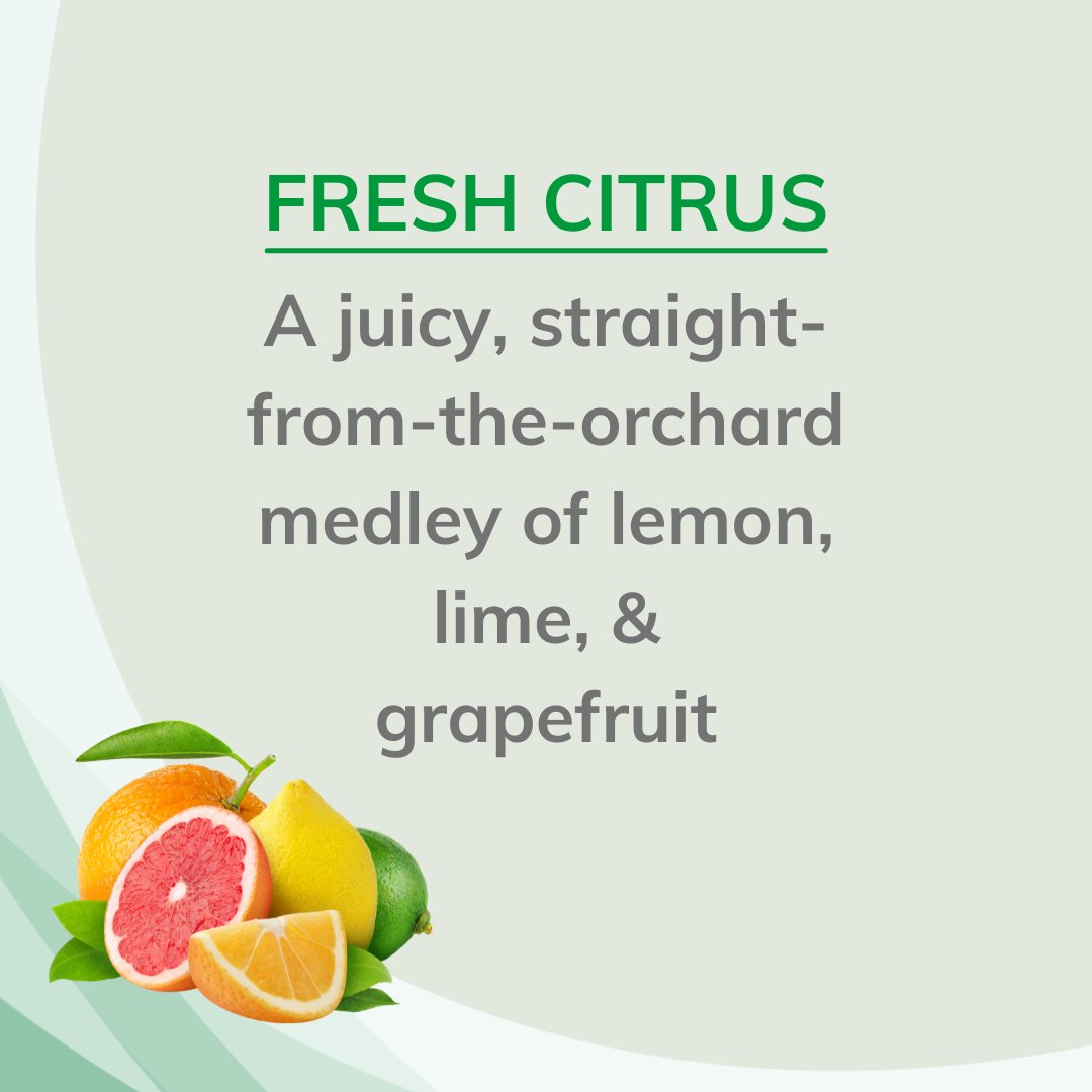 Citrus Magic Tropical Citrus Blend Air Freshener