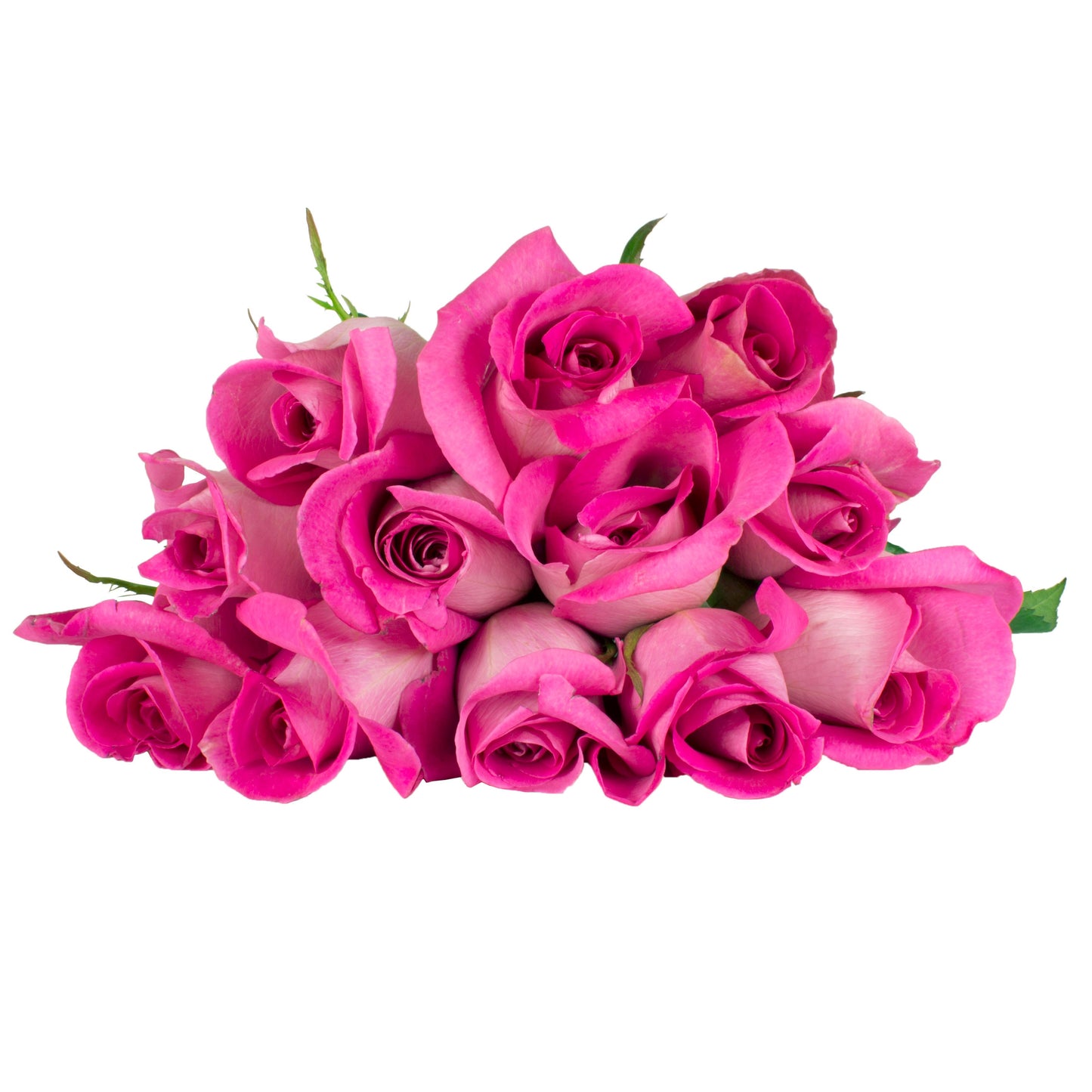 H-E-B Blooms Dozen Pink Roses