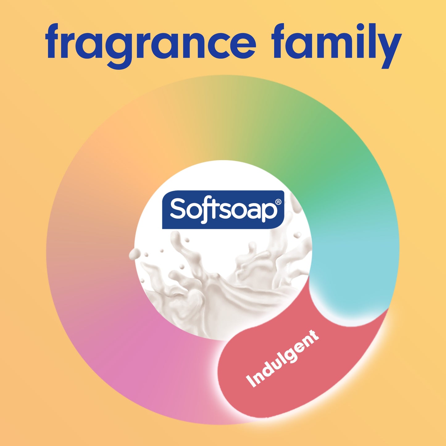 Softsoap Moisturizing Hand Soap - Milk & Honey