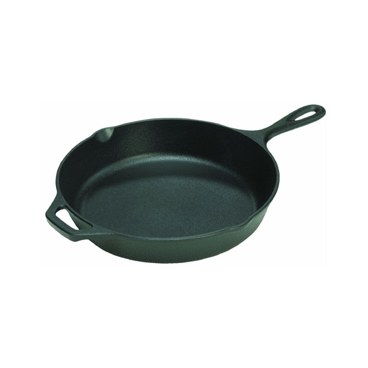 Lodge Seasoned Cast Iron Skillet