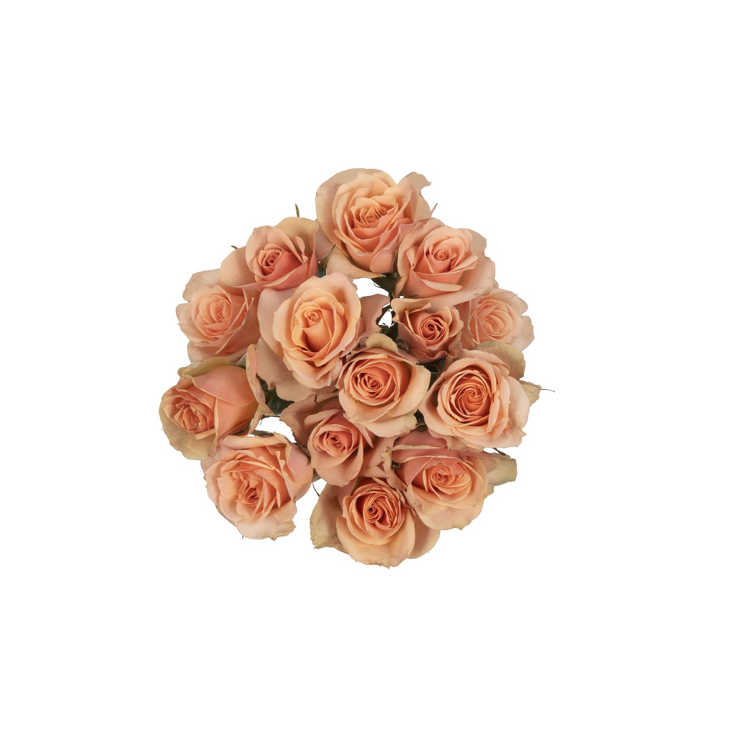 BLOOMS by H-E-B 3 Stems Spray Roses - Assorted Colors