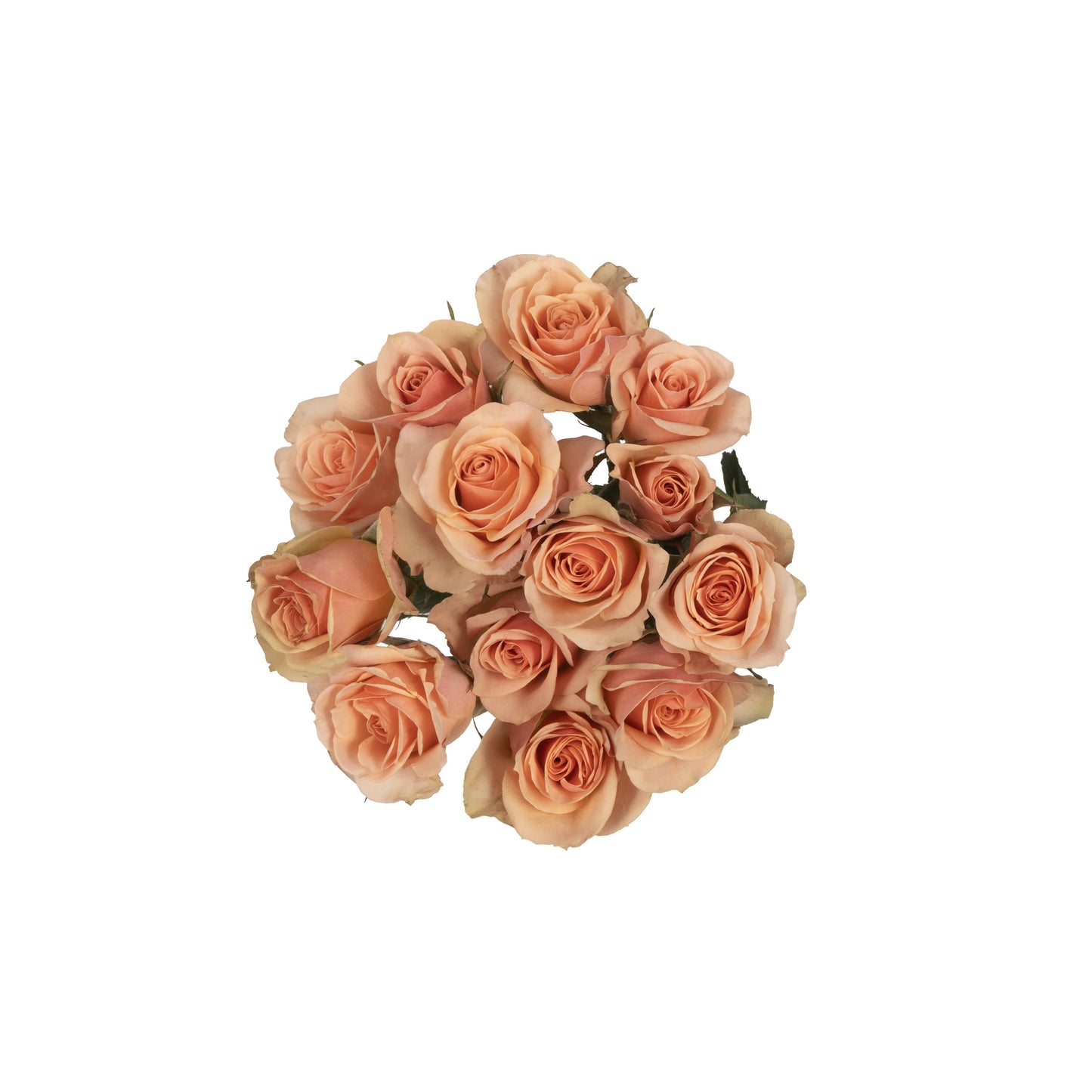 BLOOMS by H-E-B 3 Stems Spray Roses - Assorted Colors