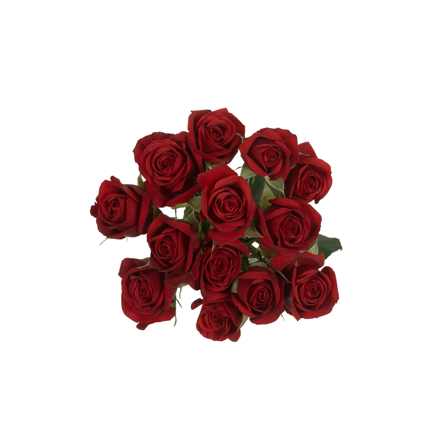 BLOOMS by H-E-B 3 Stems Spray Roses - Assorted Colors