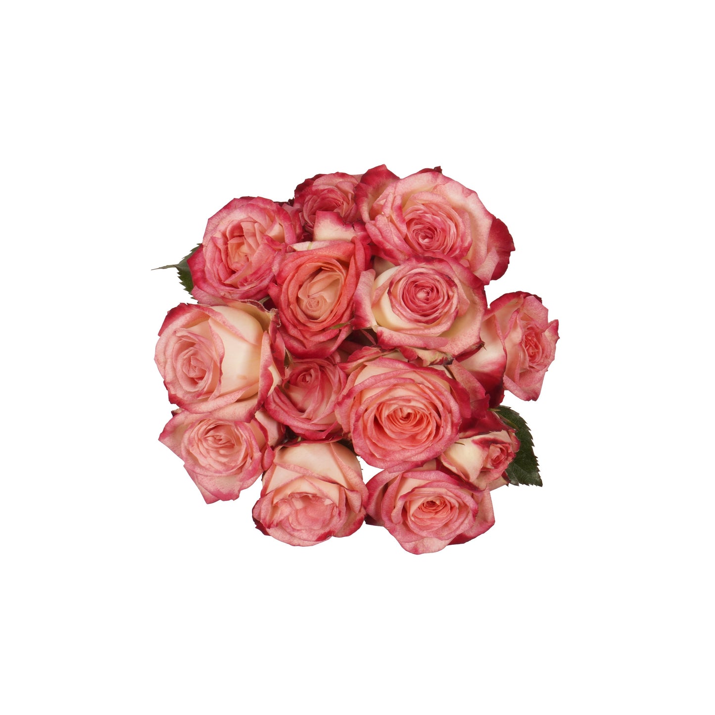 BLOOMS by H-E-B 3 Stems Spray Roses - Assorted Colors