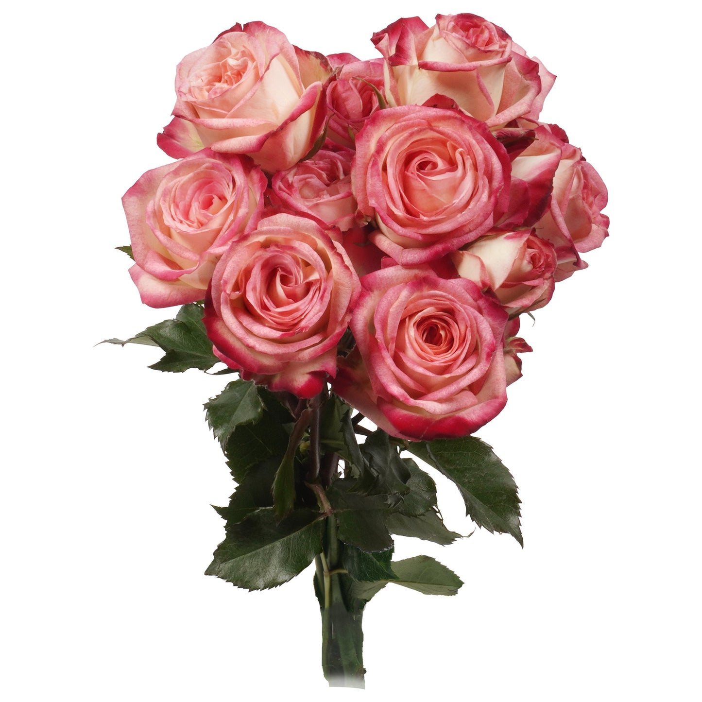 BLOOMS by H-E-B 3 Stems Spray Roses - Assorted Colors