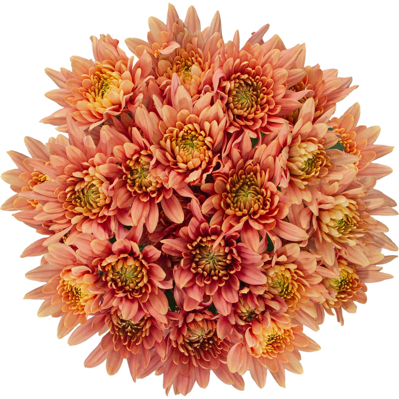 BLOOMS by H-E-B 4 Stem Assorted Poms