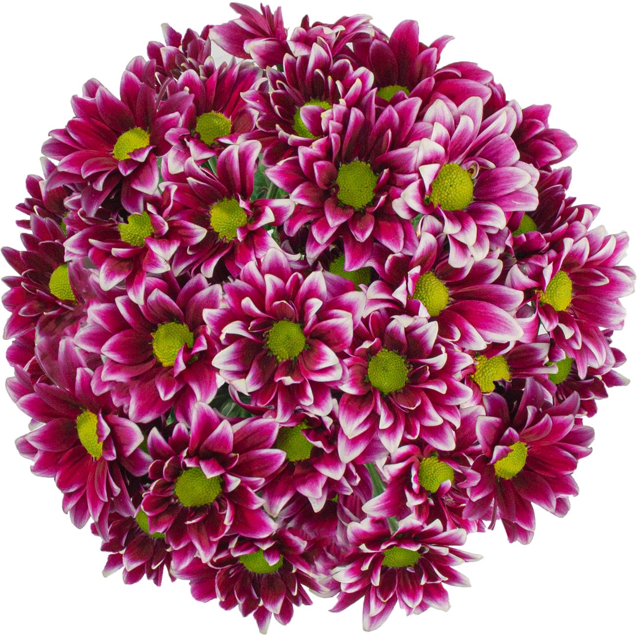 BLOOMS by H-E-B 4 Stem Assorted Poms