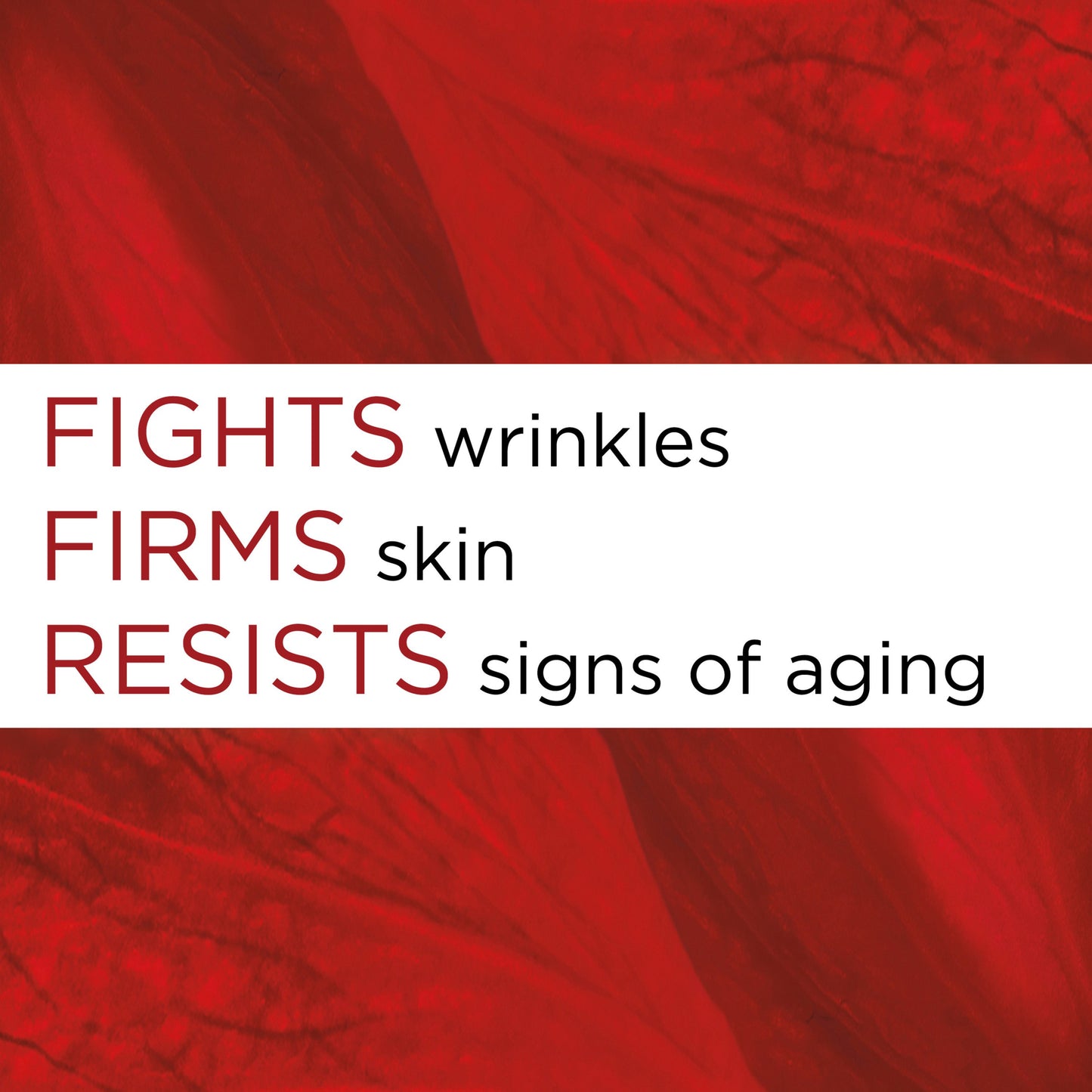 L'Oréal Paris Revitalift Anti-Wrinkle Plus Firming Day Face Moisturizer