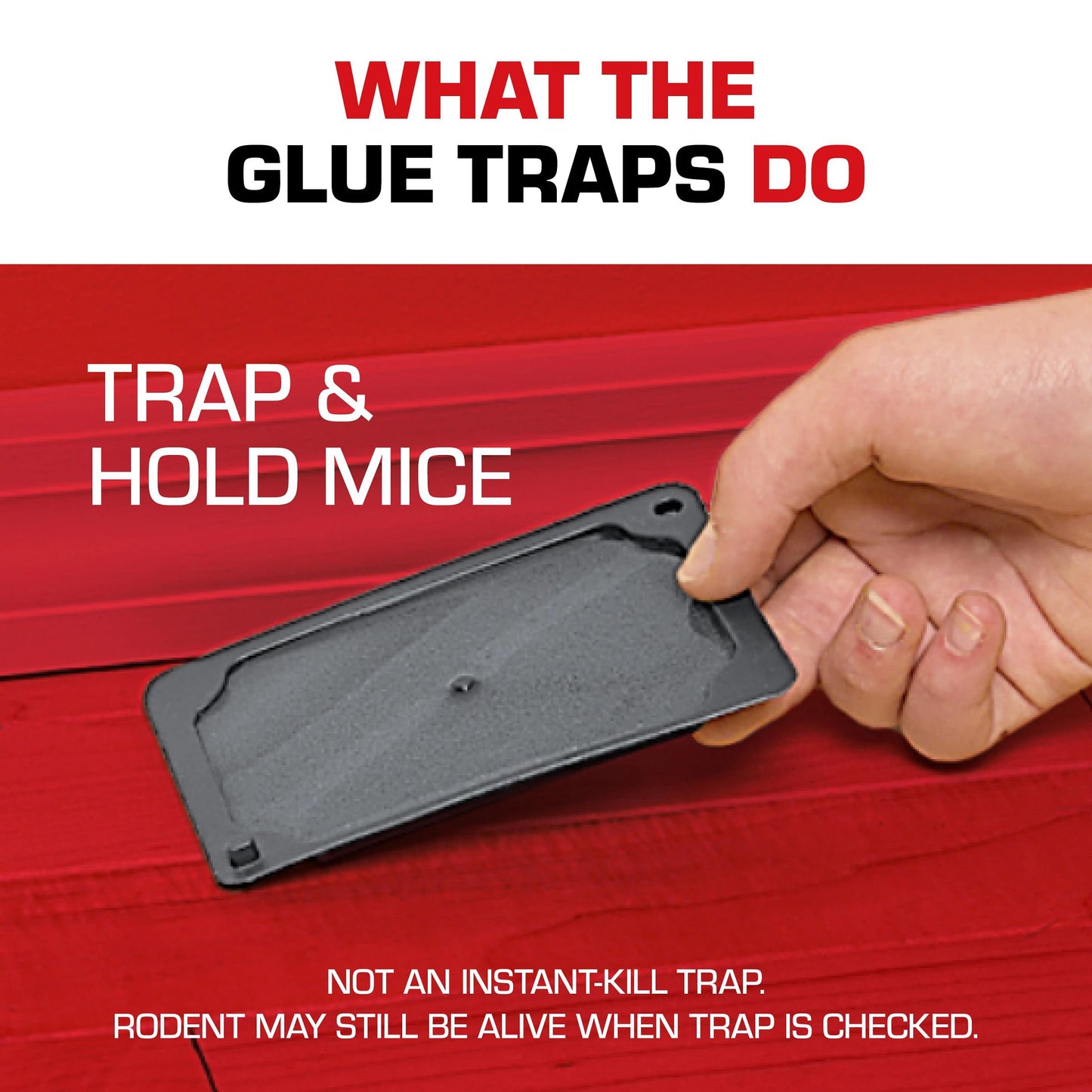 Tomcat Mouse Size Glue Traps