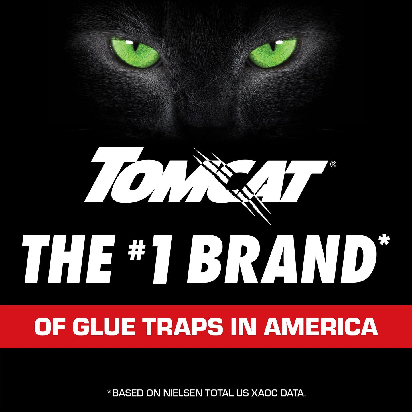 Tomcat Mouse Size Glue Traps