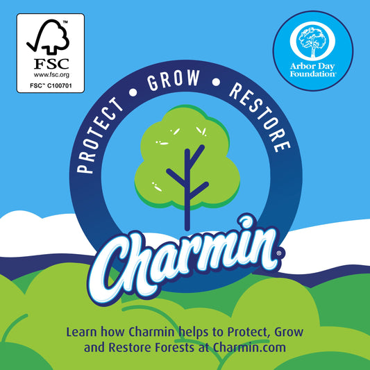 Charmin Charmin Flushable Moist Wipes