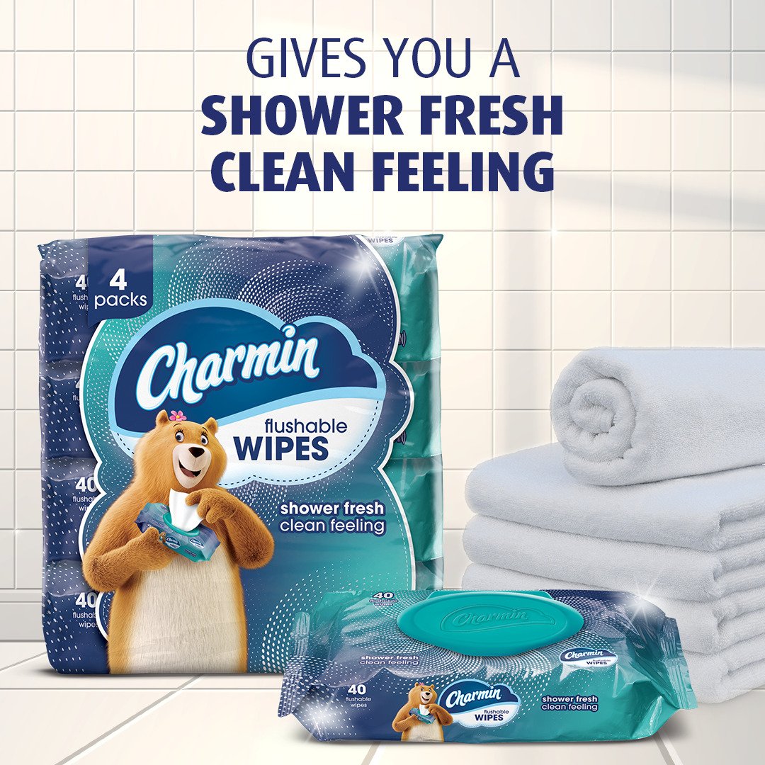 Charmin Charmin Flushable Moist Wipes