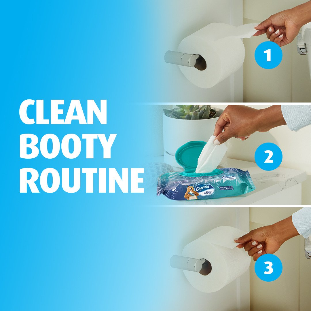 Charmin Charmin Flushable Moist Wipes