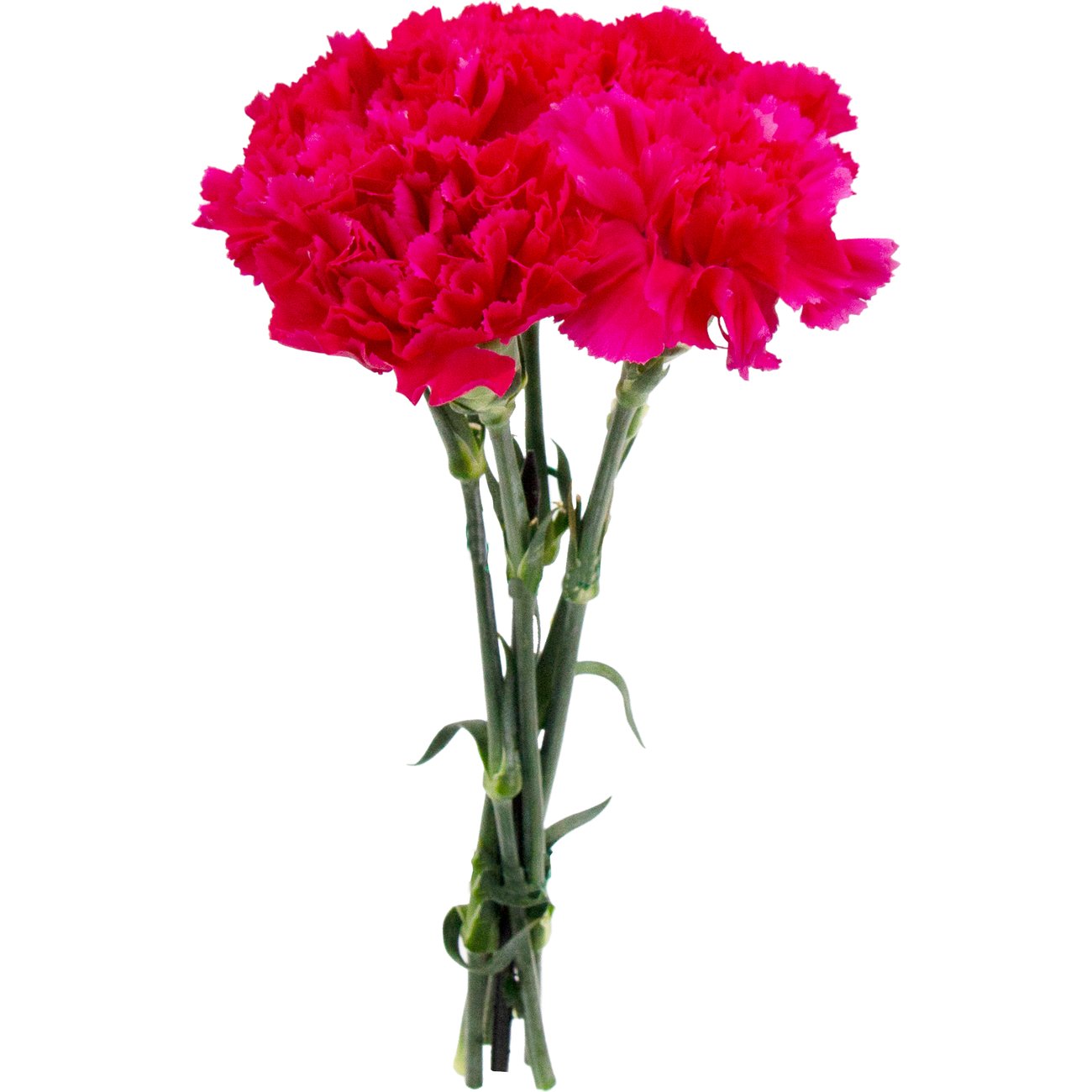 BLOOMS by H-E-B Assorted 5 Stem Carnations