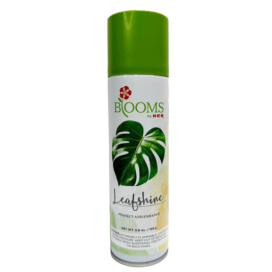 BLOOMS by H-E-B Leafshine Plant Spray