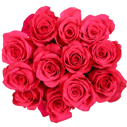 BLOOMS by H-E-B Dozen Pink Roses