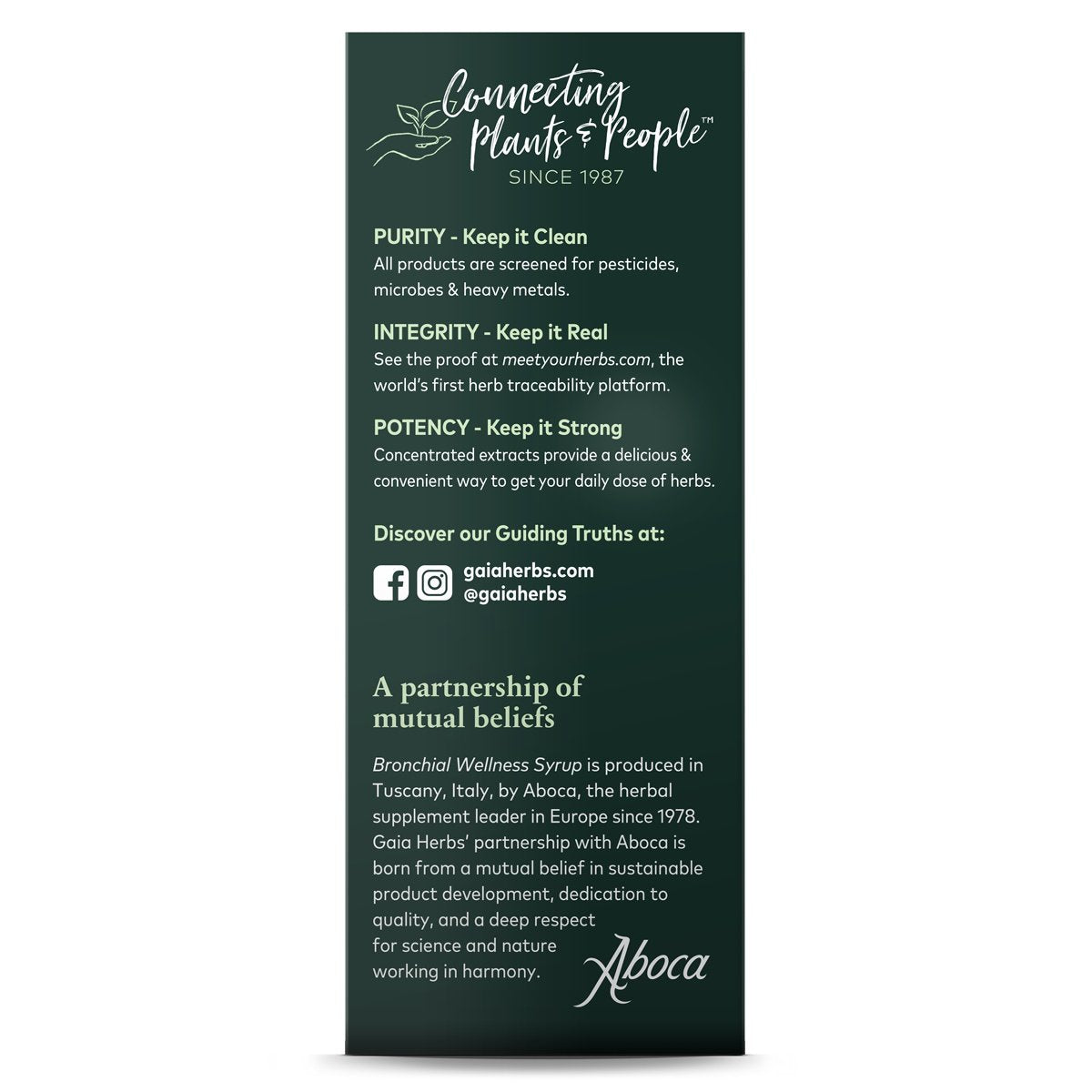 Gaia Herbs RapidRelief Bronchial Wellness Herbal Syrup