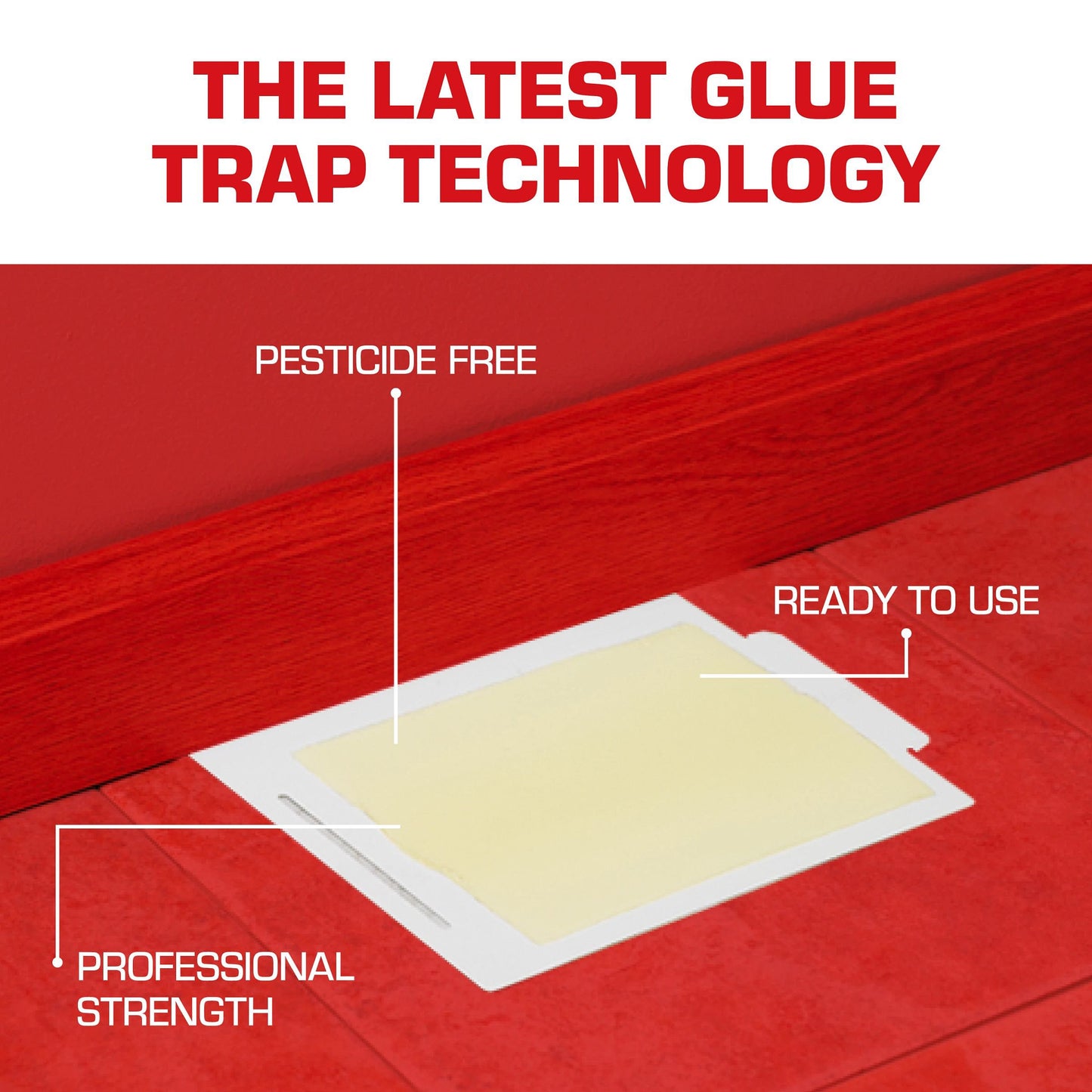 Tomcat Glue Boards with Eugenol