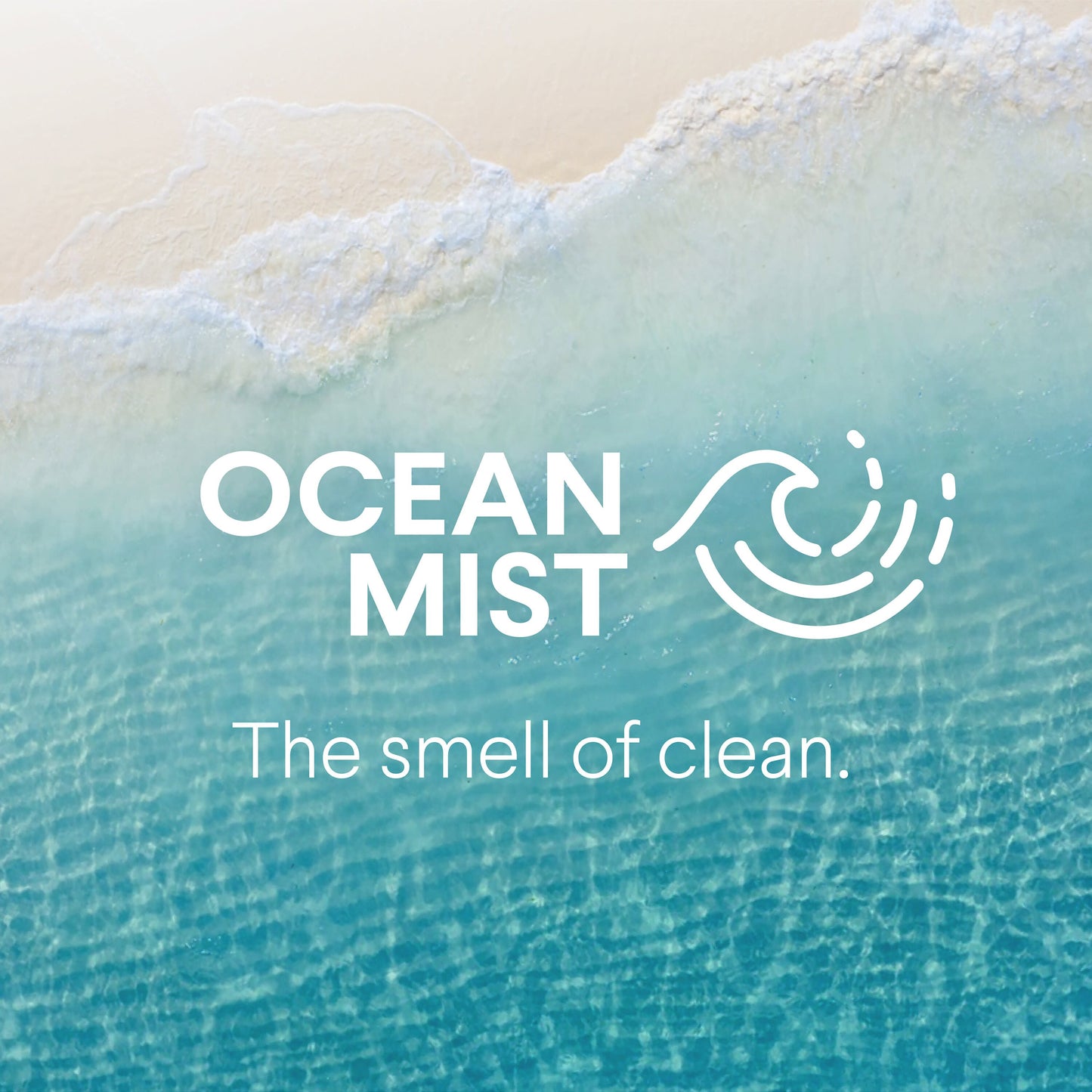Clorox Bathroom Bleach Foamer Spray - Ocean Mist