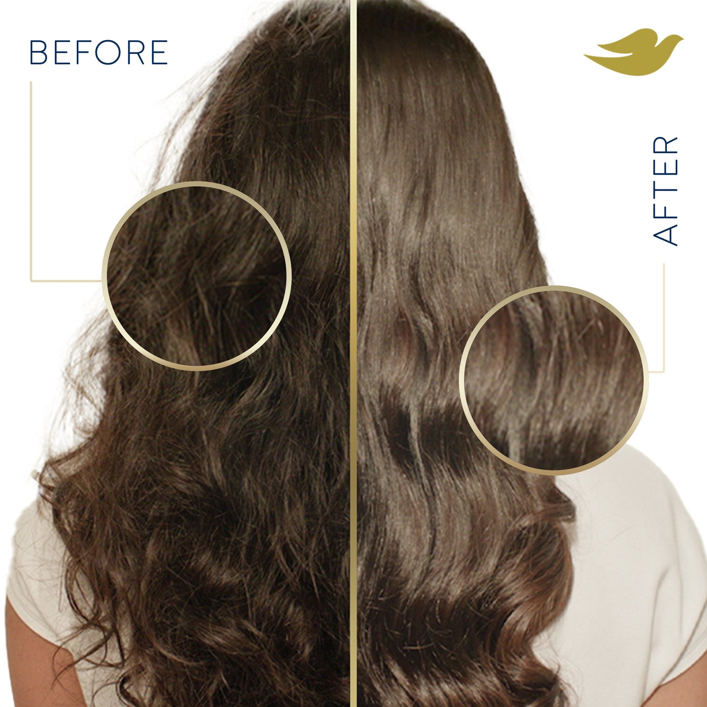 Dove Shampoo Anti-Frizz Oil Therapy