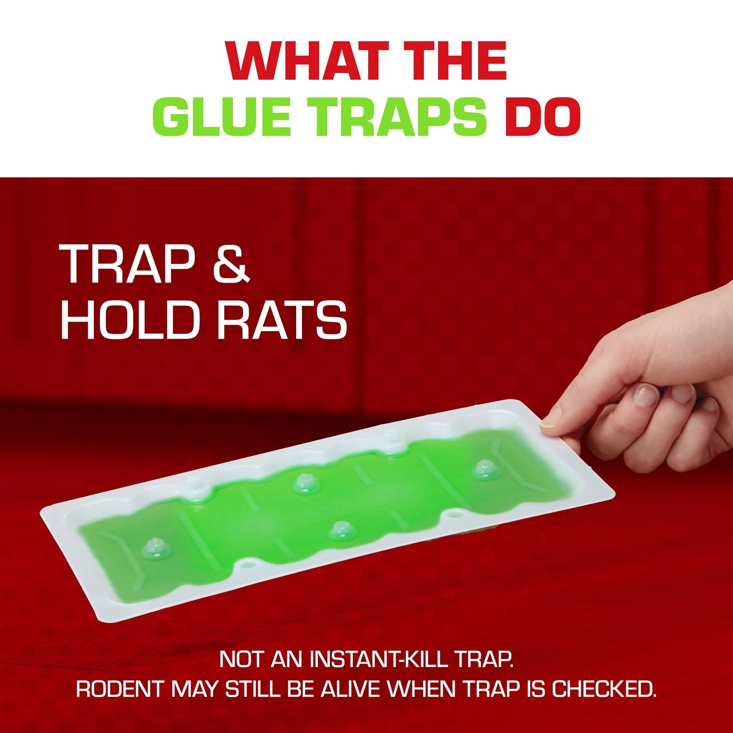 Tomcat Super Hold Rat Size Glue Traps