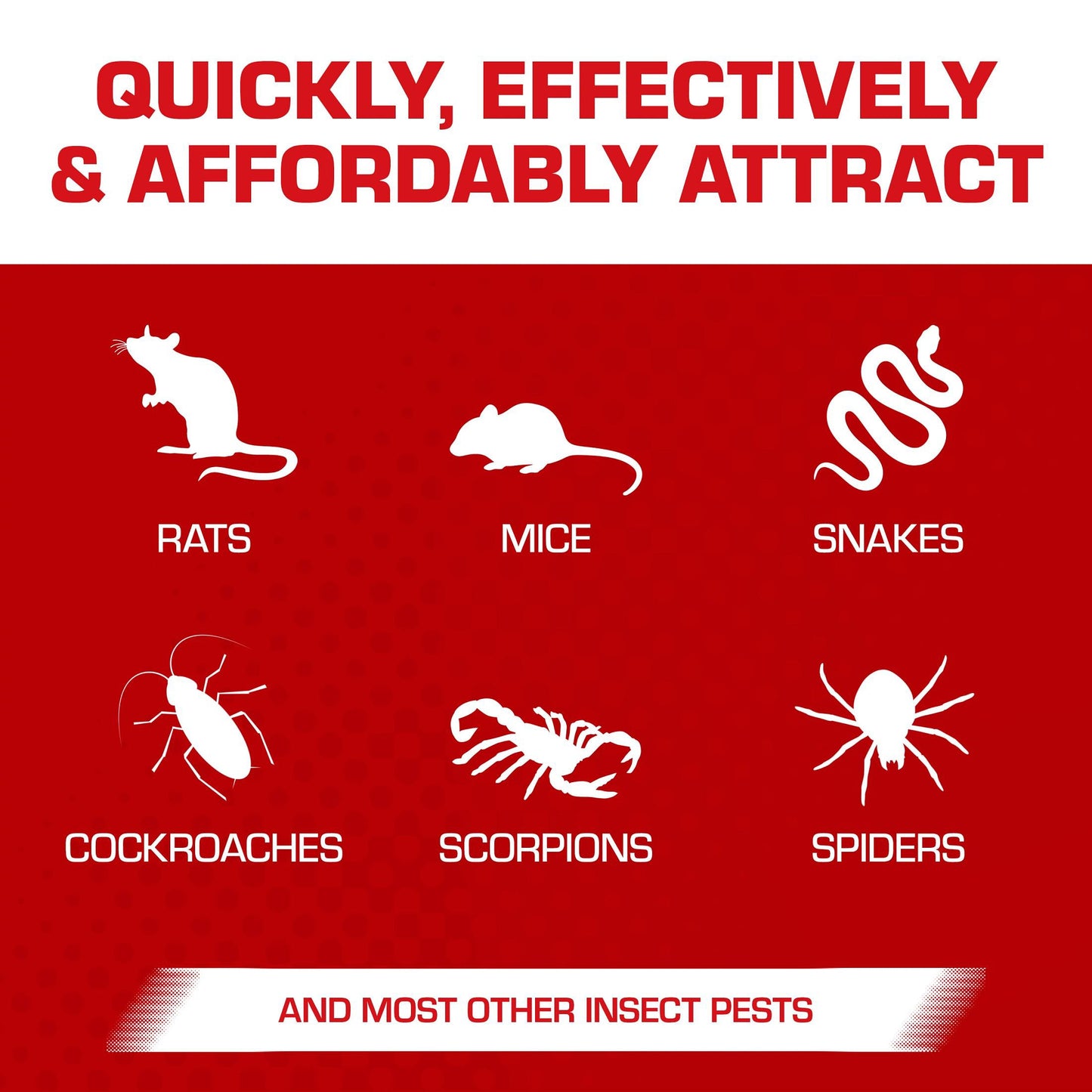 Tomcat Super Hold Rat Size Glue Traps