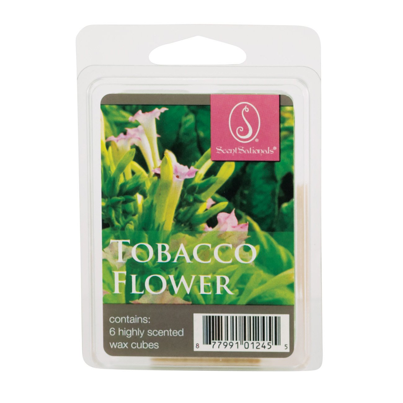 ScentSationals Tobacco Flower Scented Wax Melt Cubes