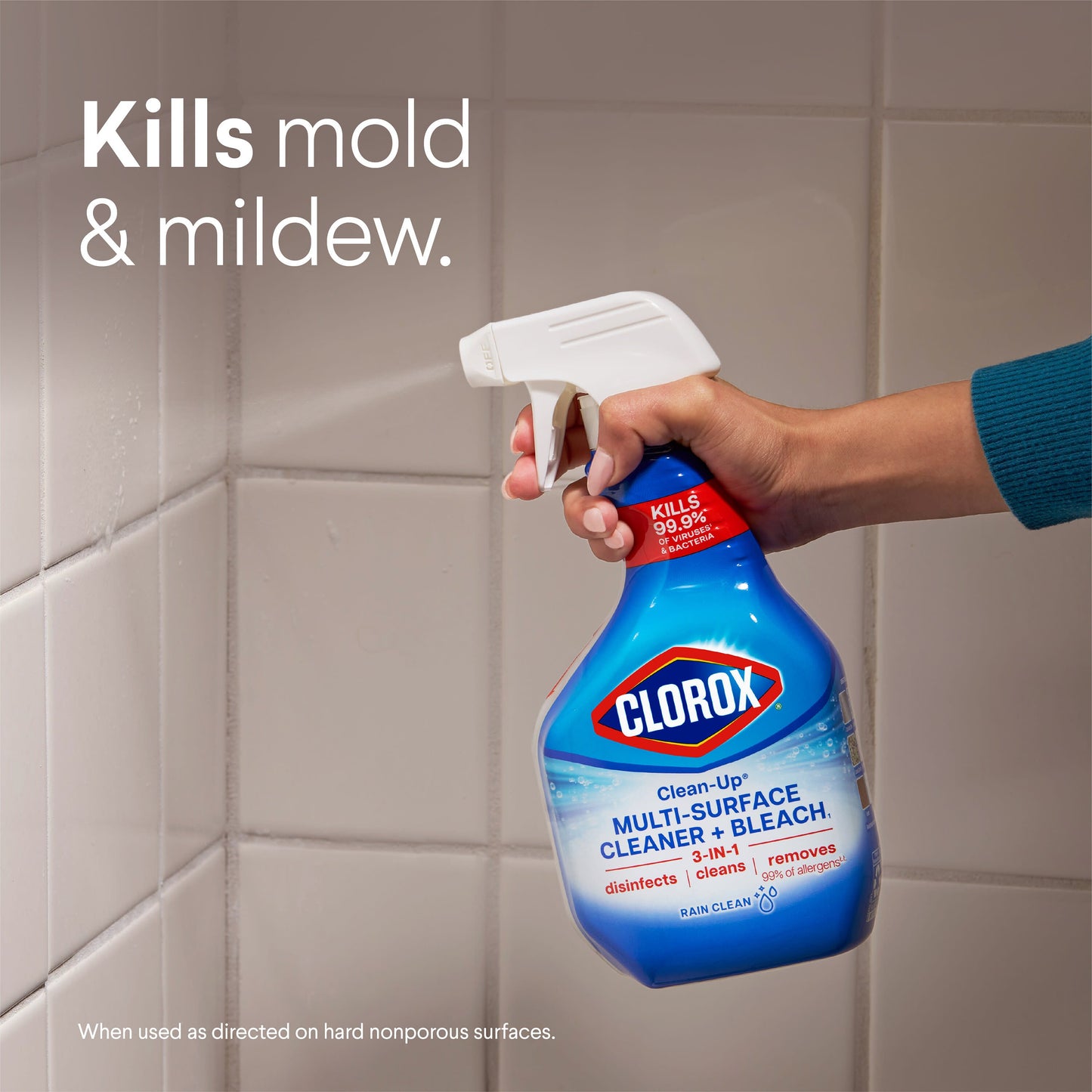 Clorox Clean-Up Multi-Surface Cleaner with Bleach Spray Bottle - Rain Clean