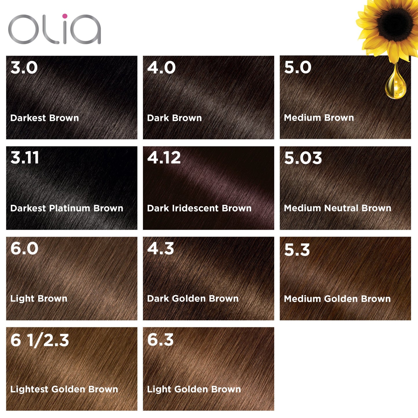 Garnier Olia Oil Powered Ammonia Free Permanent Hair Color 5.0 Medium Brown