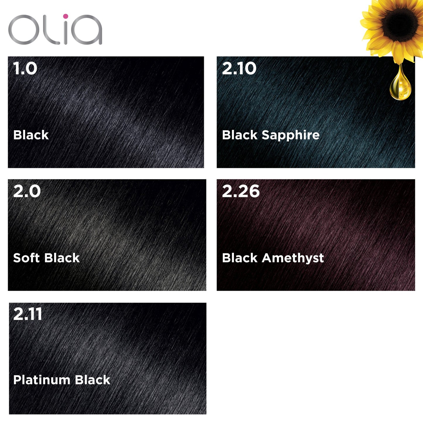 Garnier Olia Oil Powered Ammonia Free Permanent Hair Color 1.0 Black