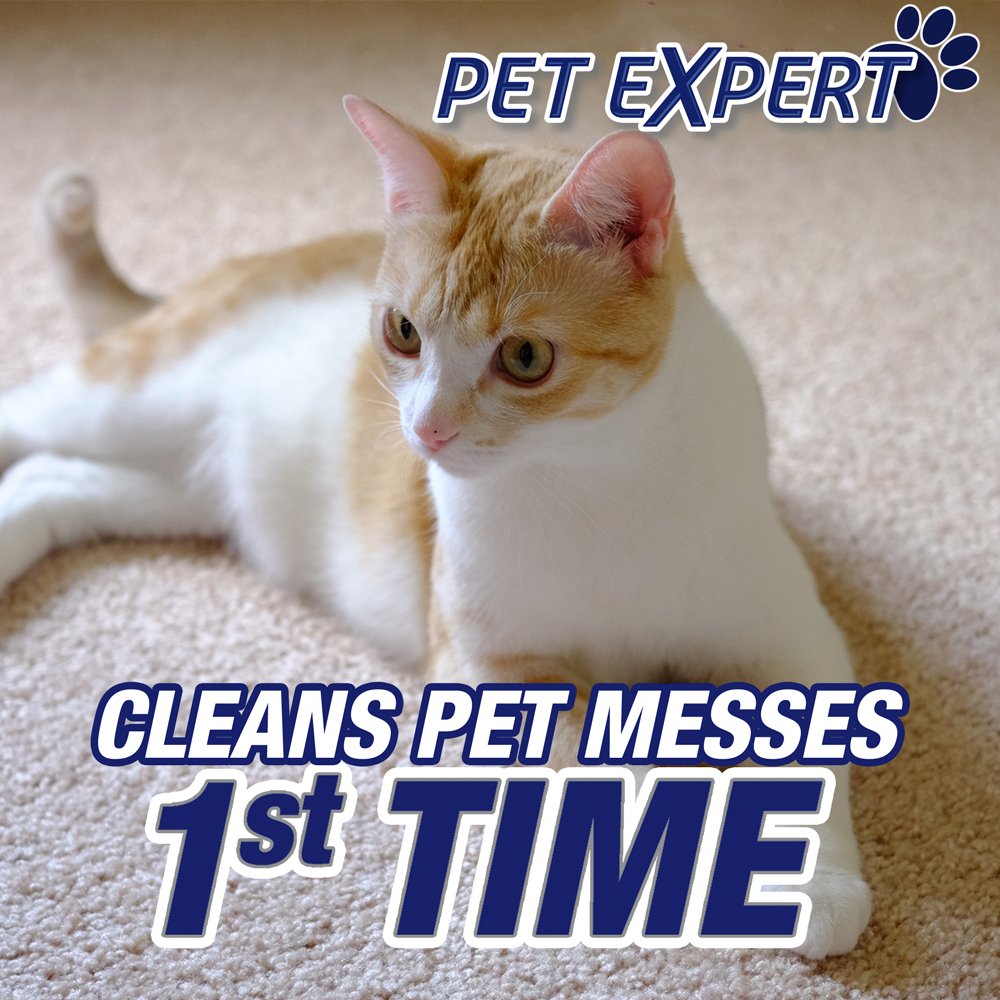 Resolve Pet Expert, High Traffic Carpet Cleaner, Pet Stain and Odor Remover Carpet Cleaner Foam