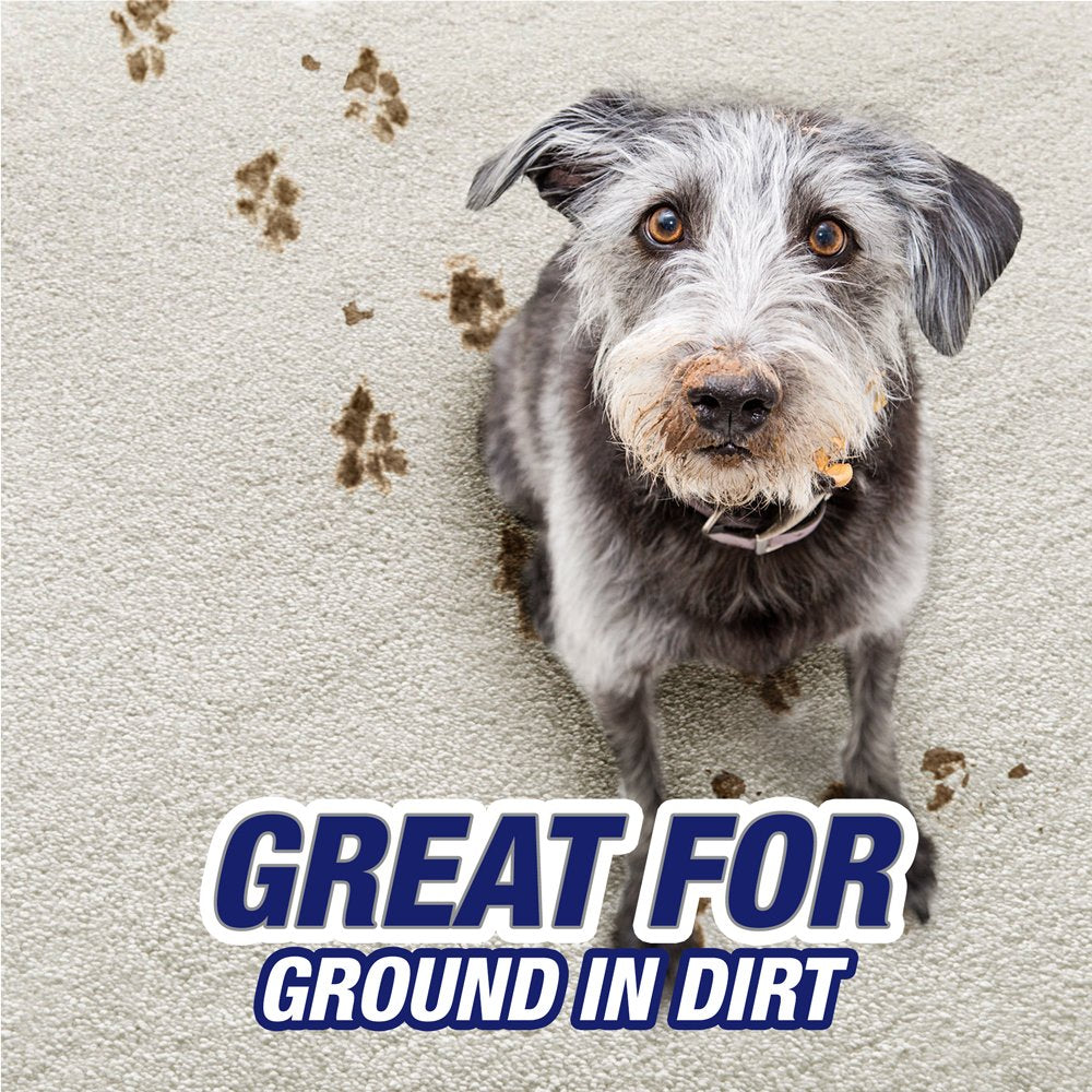 Resolve Pet Expert, High Traffic Carpet Cleaner, Pet Stain and Odor Remover Carpet Cleaner Foam