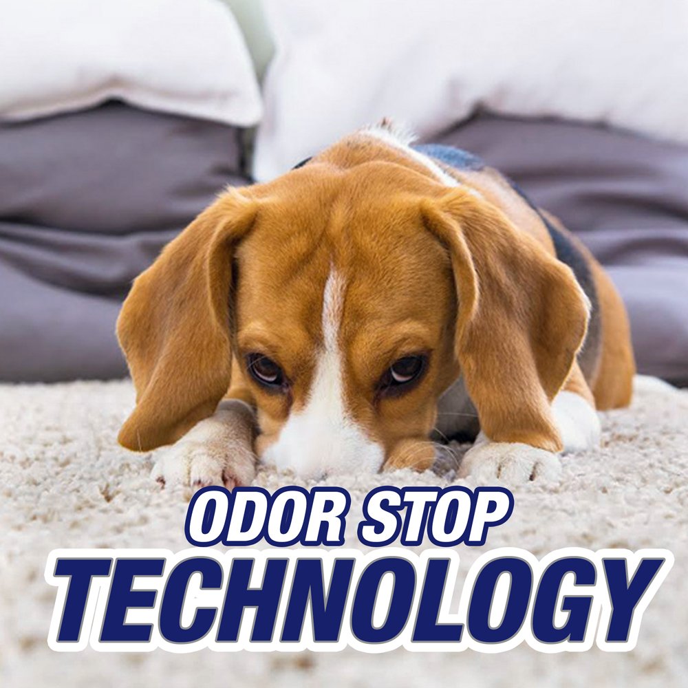 Resolve Pet Expert, High Traffic Carpet Cleaner, Pet Stain and Odor Remover Carpet Cleaner Foam