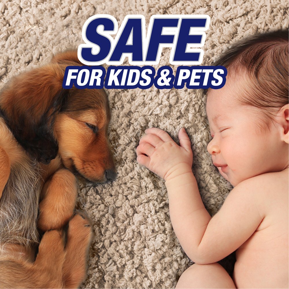 Resolve Pet Expert, High Traffic Carpet Cleaner, Pet Stain and Odor Remover Carpet Cleaner Foam