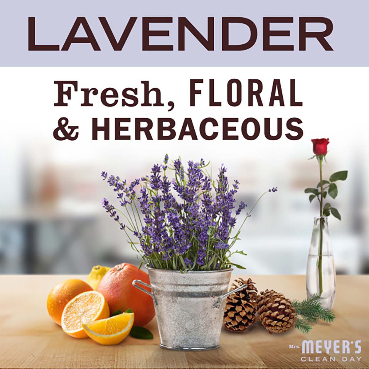 Mrs. Meyer's Clean Day Lavender Foaming Hand Soap