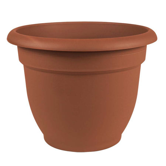 Bloem Ariana Terra Cotta Planter
