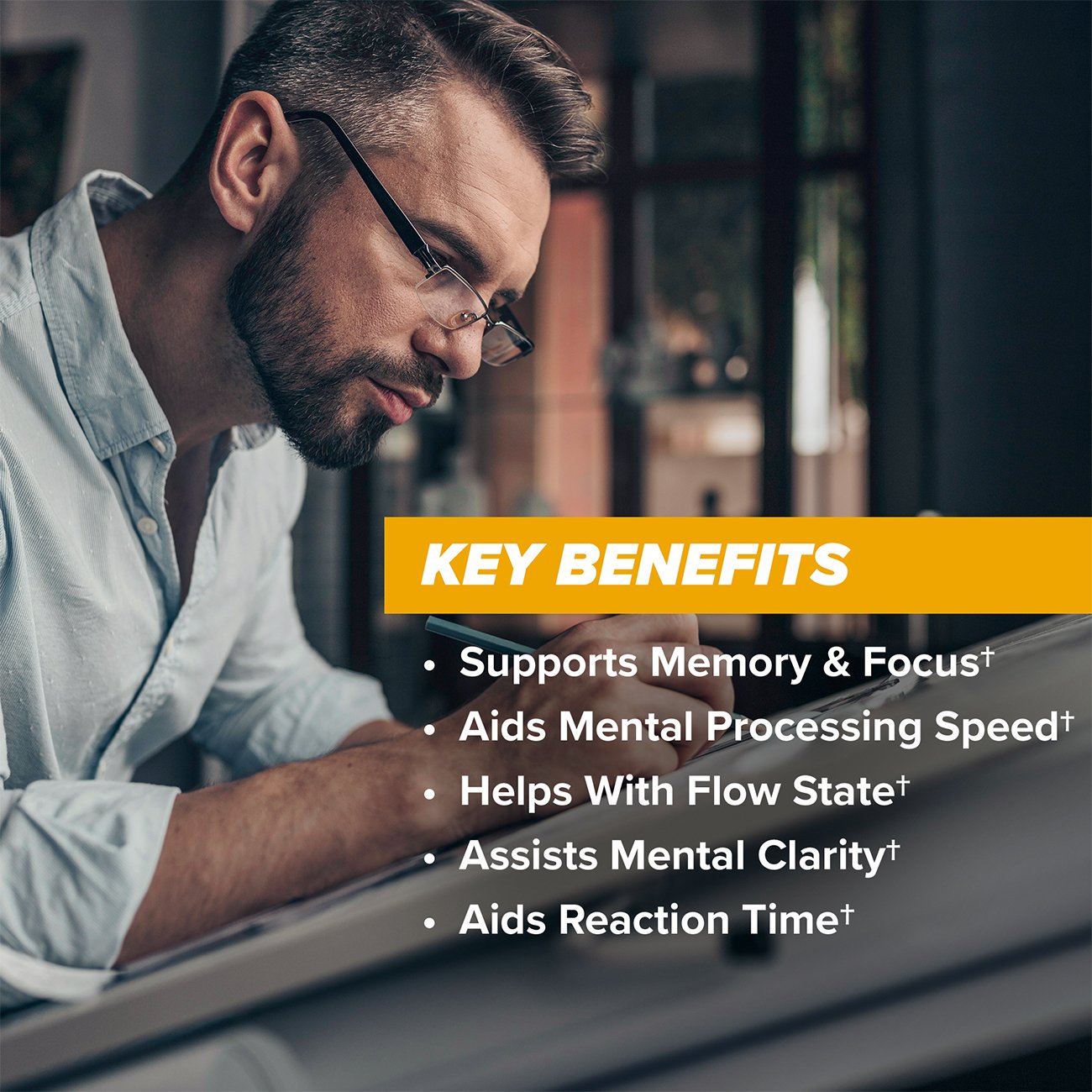 Onnit Alpha Brain Daily Cognitive Support Capsules