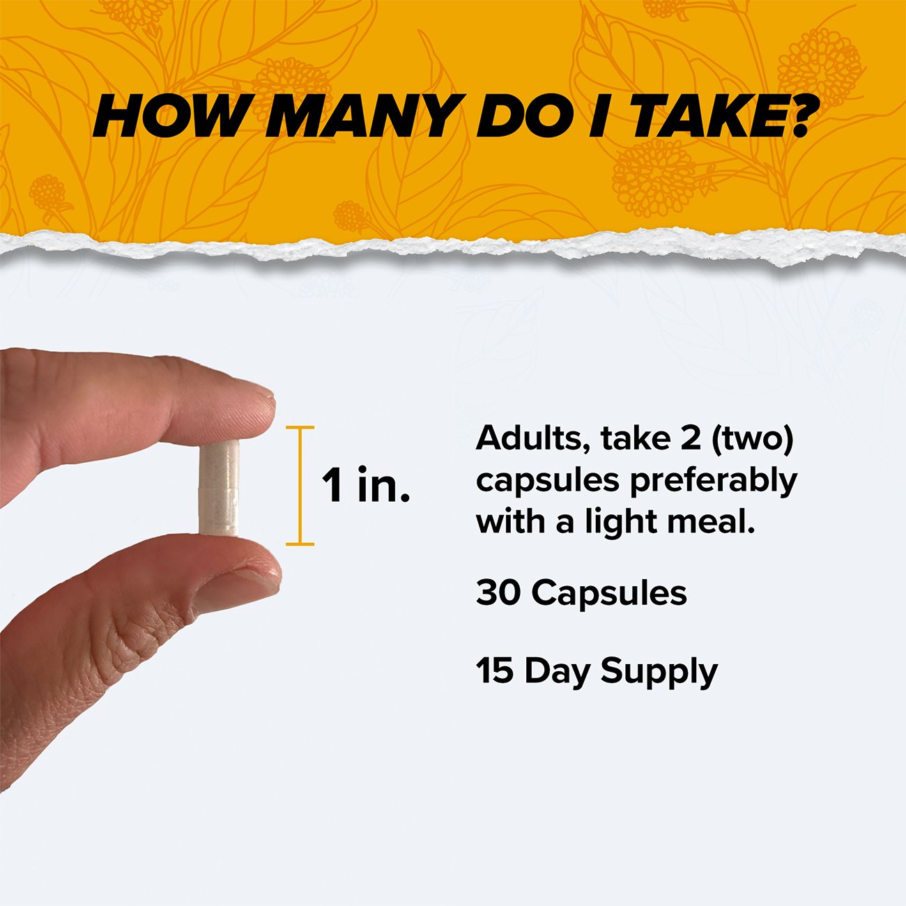 Onnit Alpha Brain Daily Cognitive Support Capsules