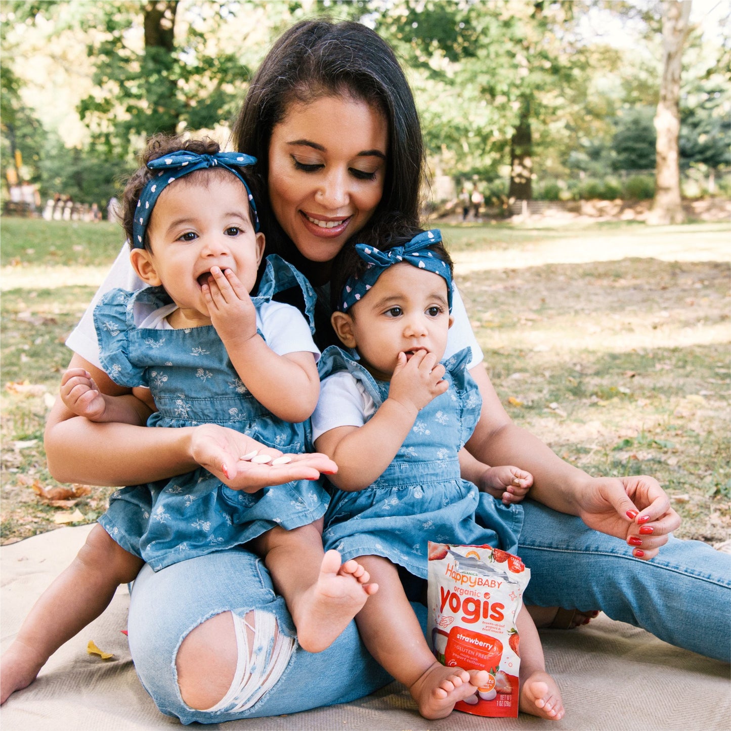 Happy Baby Organics Organic Greek Yogis Freeze-Dried Greek Yogurt & Fruit Snacks - Strawberry Banana