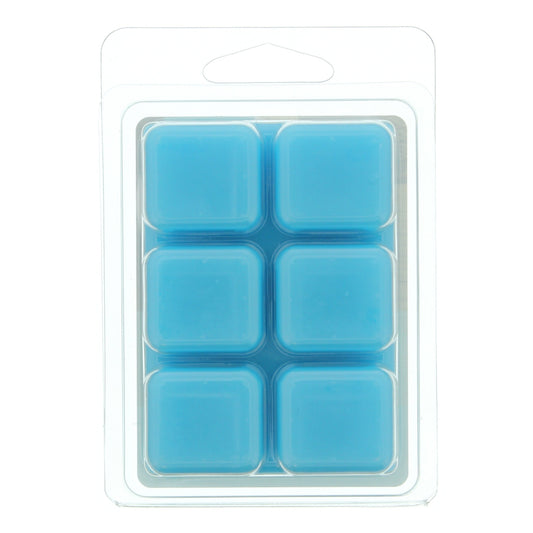 Fusion Eucalyptus & Sea Salt Scented Wax Melt Cubes