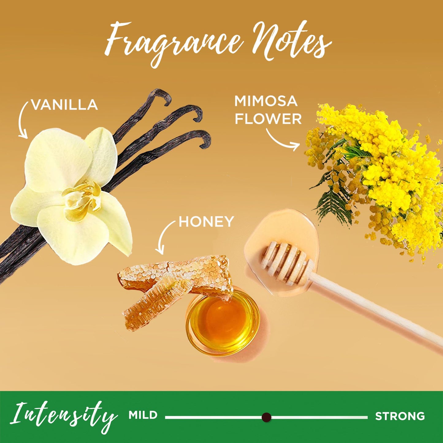 Garnier Whole Blends Honey Treasures Repairing Conditioner