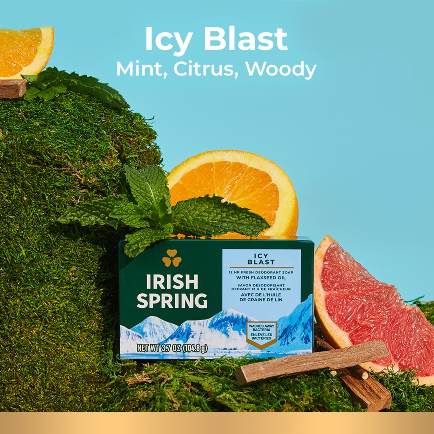 Irish Spring Icy Blast Deodorant Bar Soap for Men